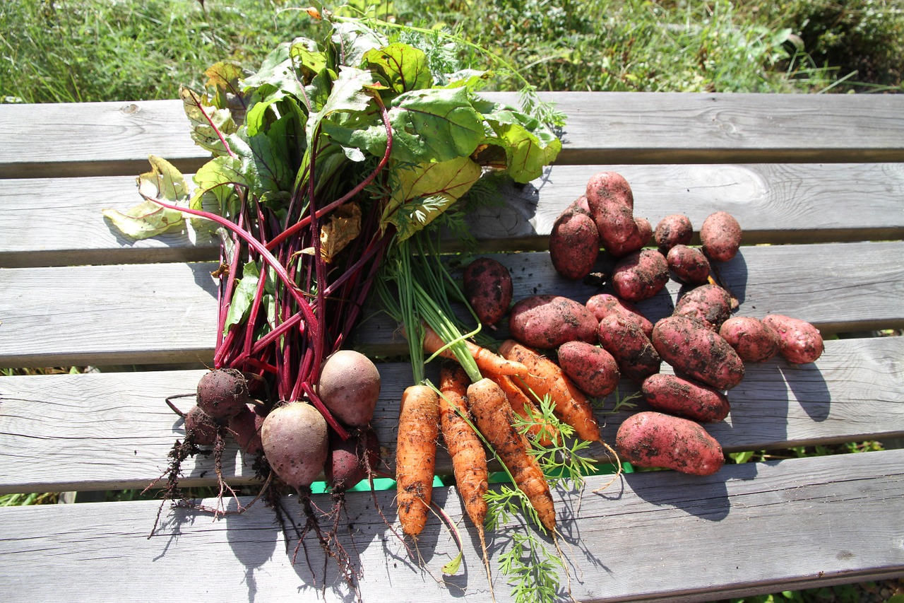 Image of a bunch of Potatoes & Carrots